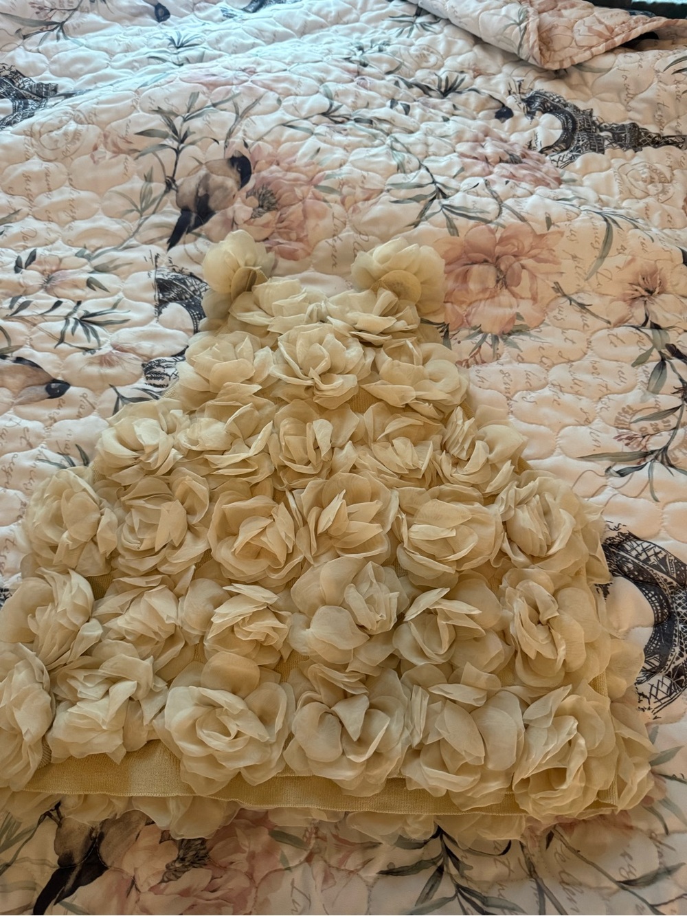 Zara Cream Floral Appliqué Sleeveless Top